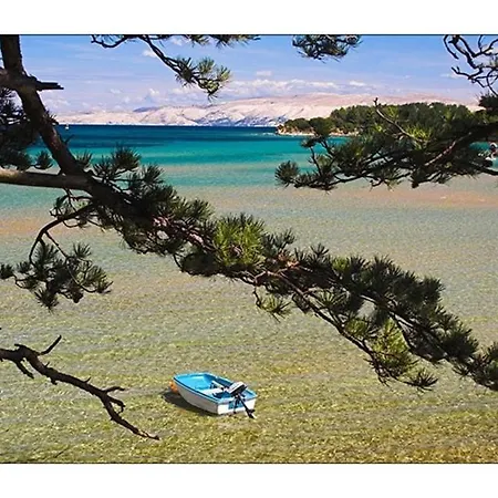 In Barbat/insel Rab 26566 Barbat na Rabu